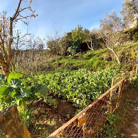 Bairral House Casa de Férias *