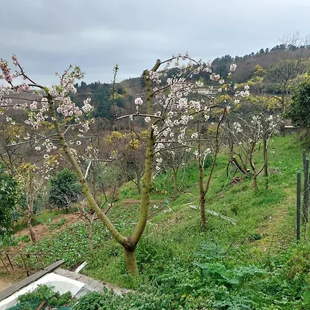 Bairral House Prázdninový dům *