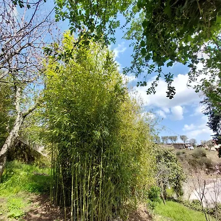 Bairral House Casa de Férias *