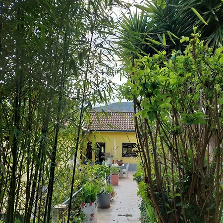 Bairral House Casa de Férias