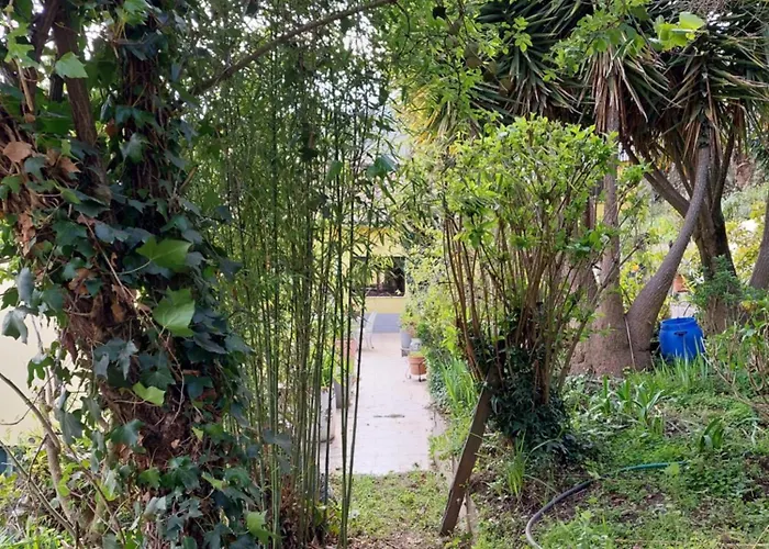 펜션 Bairral House Ferreiros de Avoes