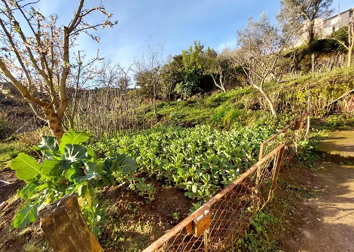 Bairral House 펜션 *