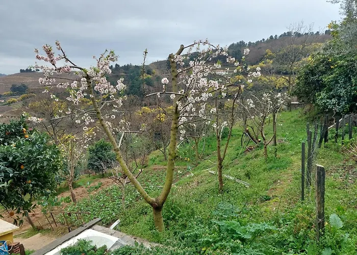 Bairral House 펜션 *