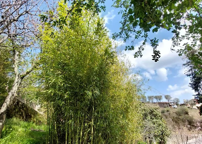 Bairral House Vakantiehuis *