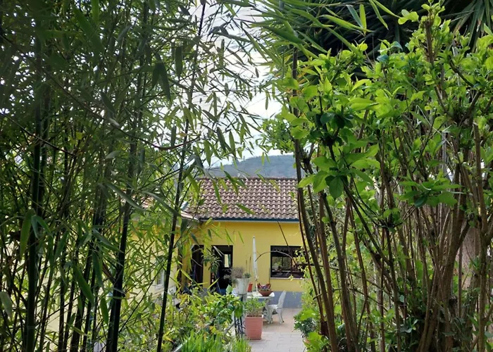 Bairral House 펜션